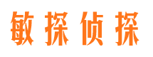 施甸私家侦探